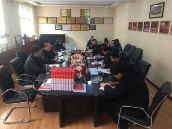 集團副總經理王衛平一行到甘肅省曲藝團檢查督查黨建標準化落實情況